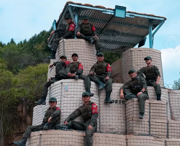 JOESCO Galvanized Iron Wire Military Defense Bastion Barriers