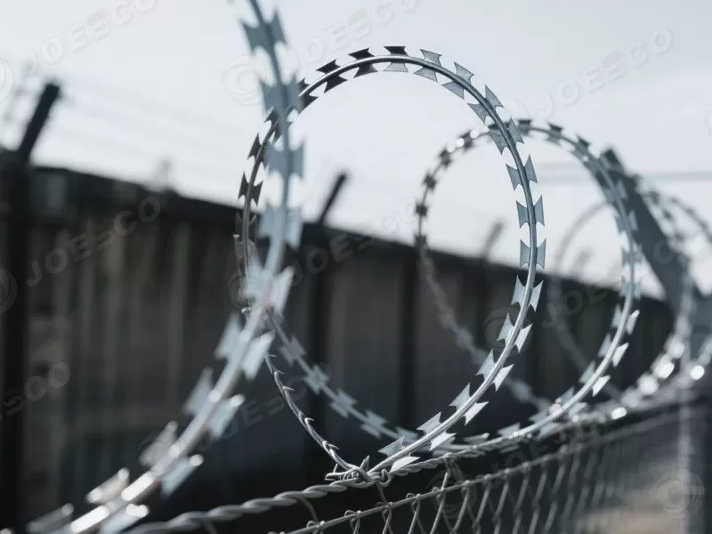 Concertina Razor Wire