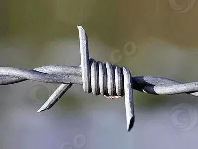 Barbed Wire