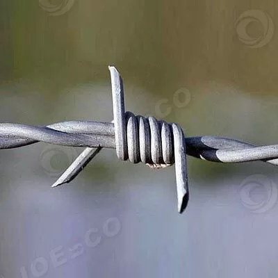 Barbed Wire