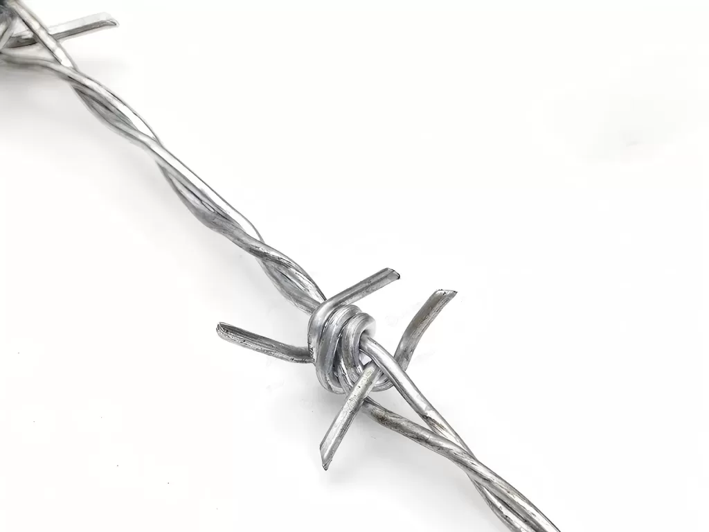 barbed wire