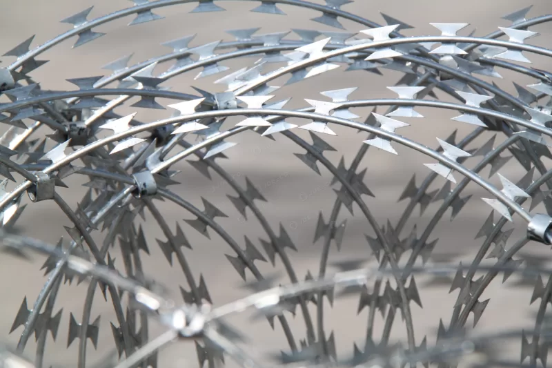 Concertina Razor Wire